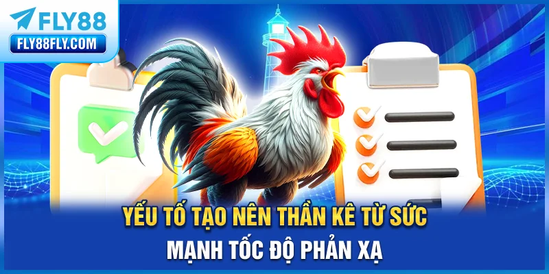 Yếu tố tạo nên thần kê từ sức mạnh, tốc độ, phản xạ